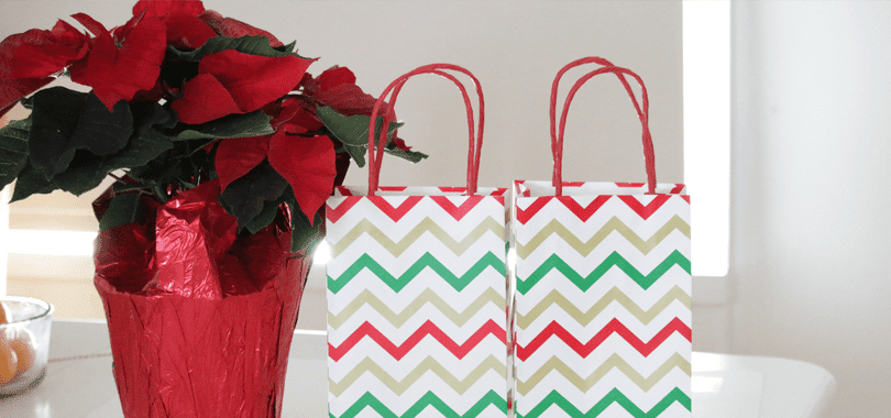 Holiday Giveaway for the Classy Career Girl!!