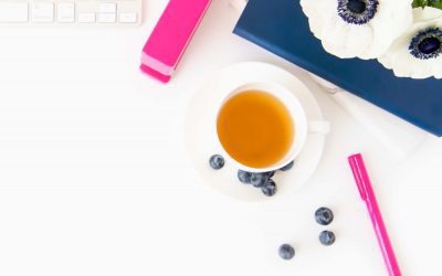 Social Networking for Career Success Interview with Miriam Salpeter