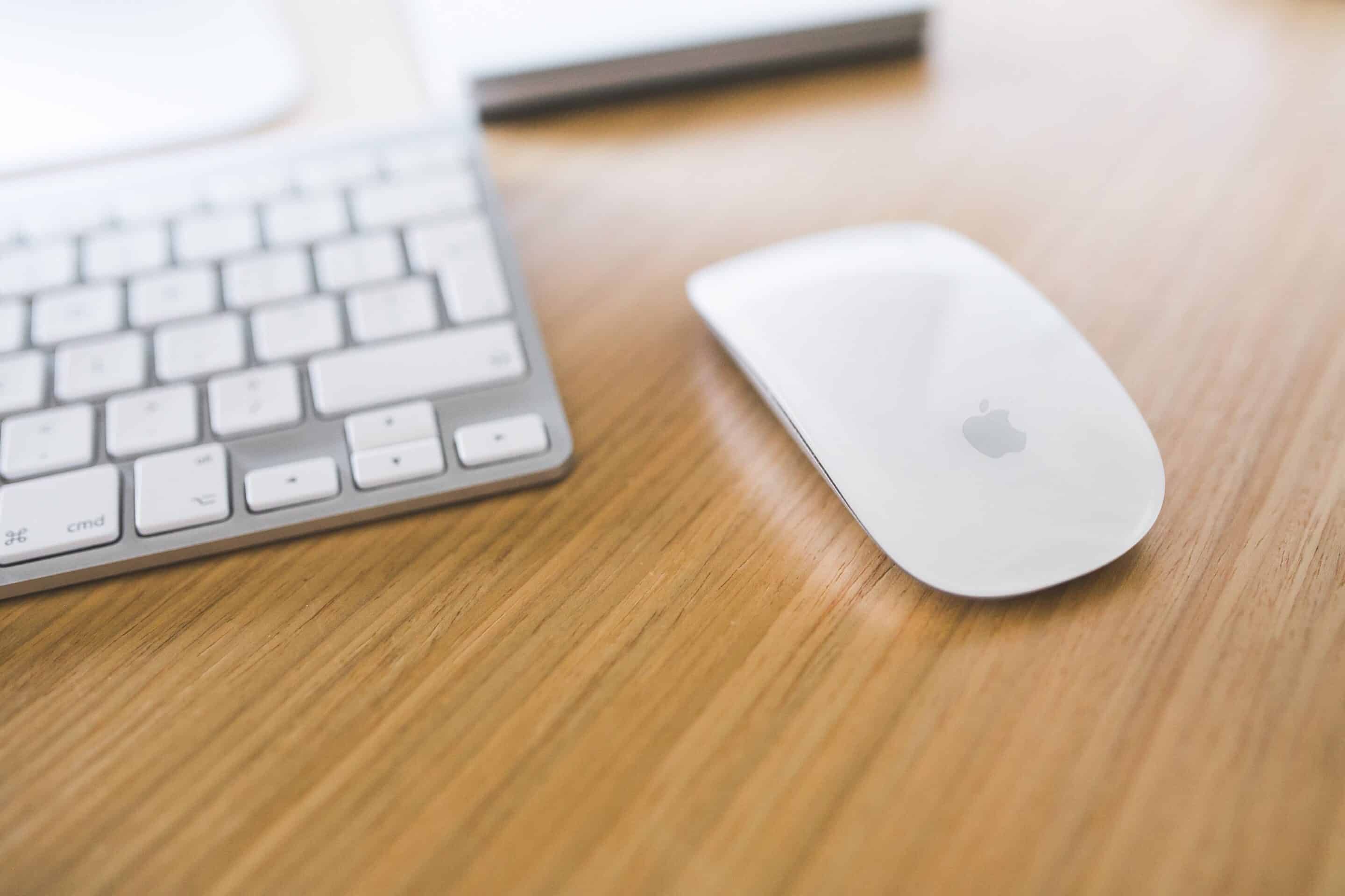 how to handle your job search