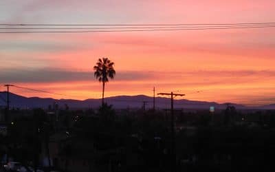 Moving Forward When Your Life Falls Apart: August 2016 Monthly Report