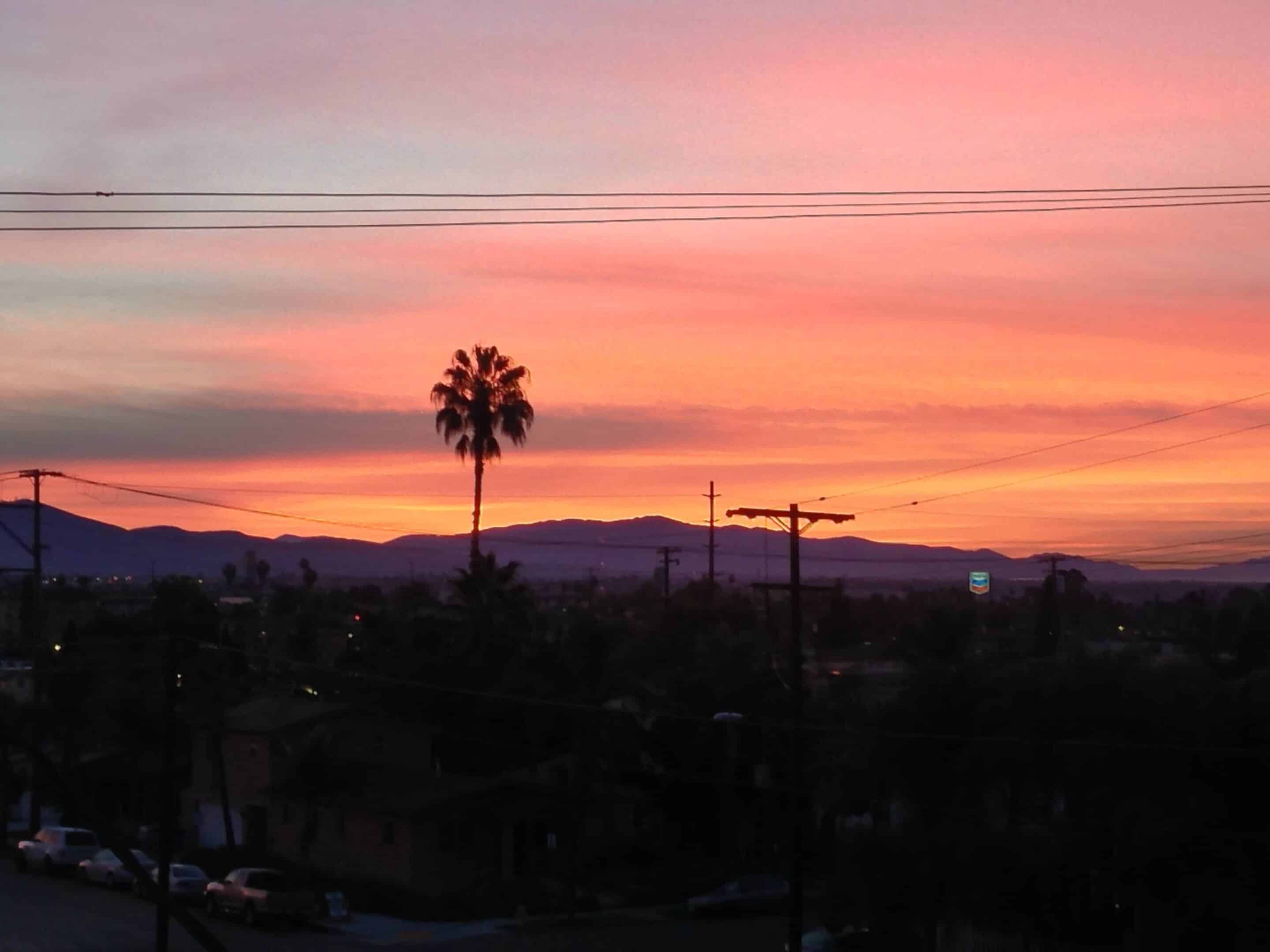 moving forward moving forward