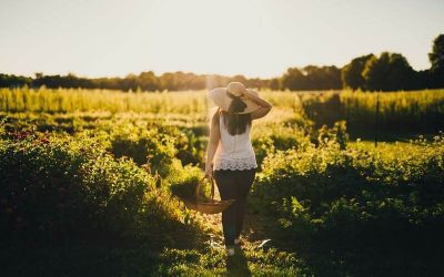 Moving From Inspiration To Action