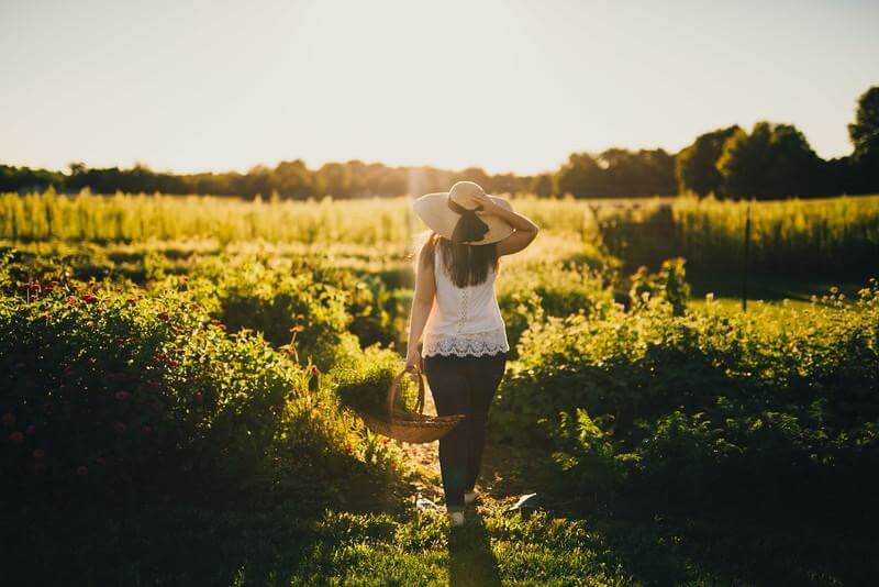 Moving From Inspired To Action With Claire Trost From Bent Arrow Acres (Case Study)