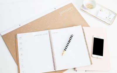 The Top 20 Classy Career Girls of 2016