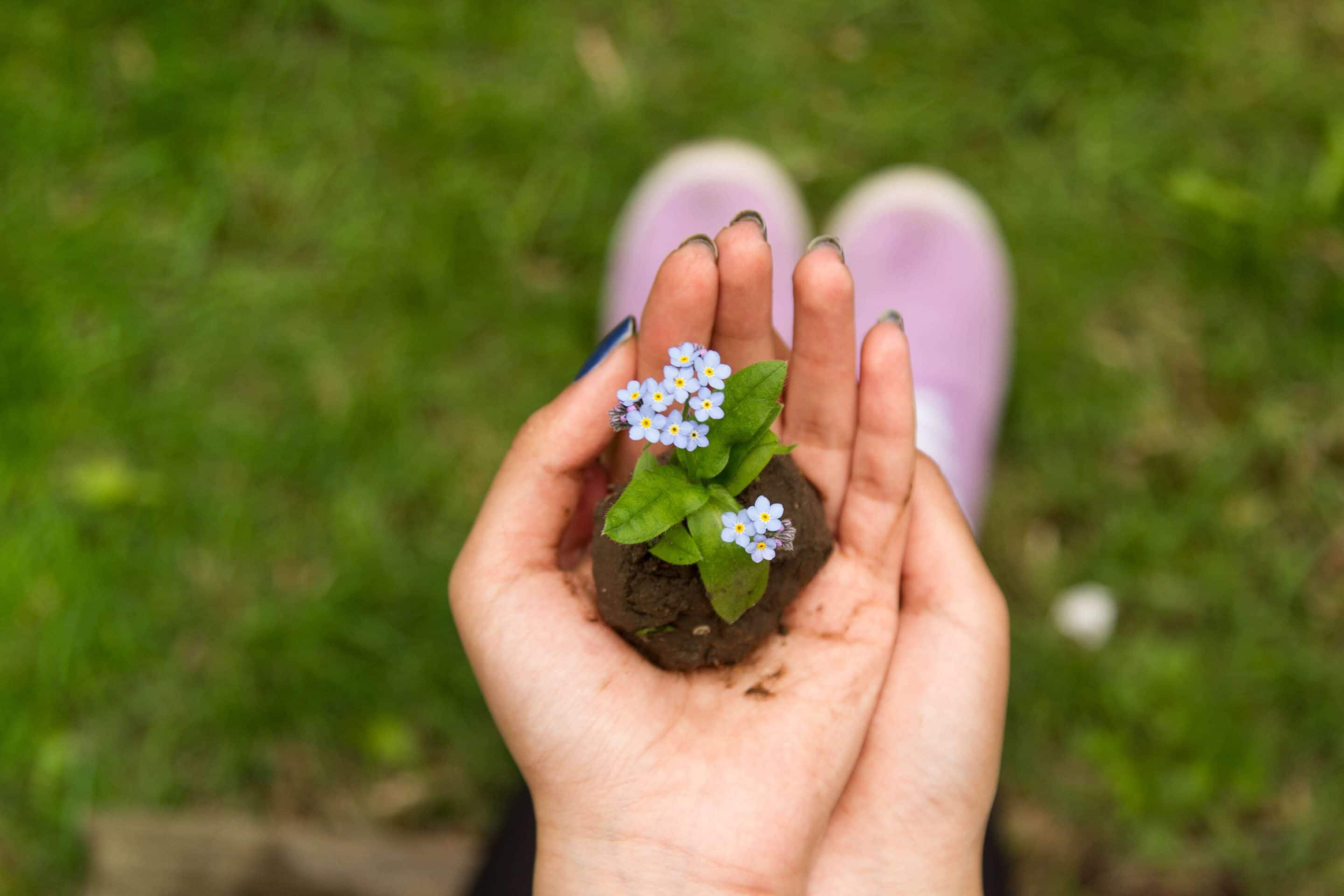 Why Gardening is Good for Your Health [INFOGRAPHIC]