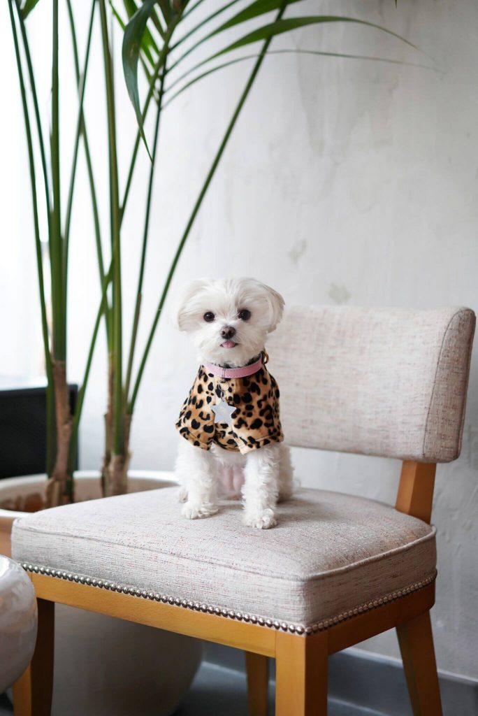 Career Profile: A Day in the Life of wonderfelle MEDIA Founder, Elle Drouin Career Profile: A Day in the Life of wonderfelle MEDIA Founder, Elle Drouin